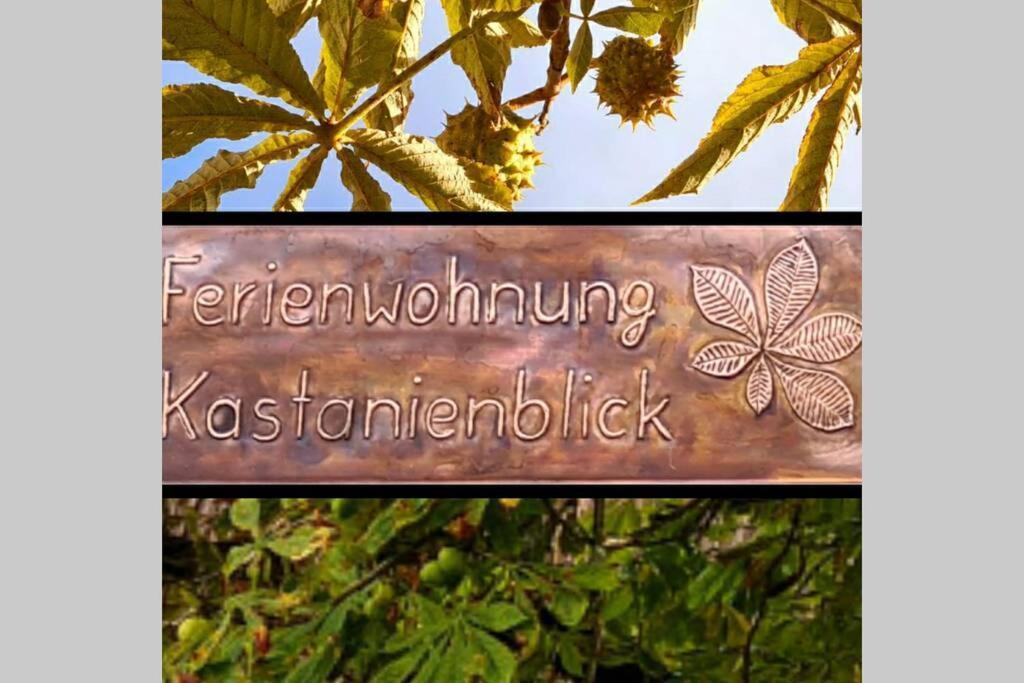 圣安德里斯伯格Kastanienblick公寓 外观 照片